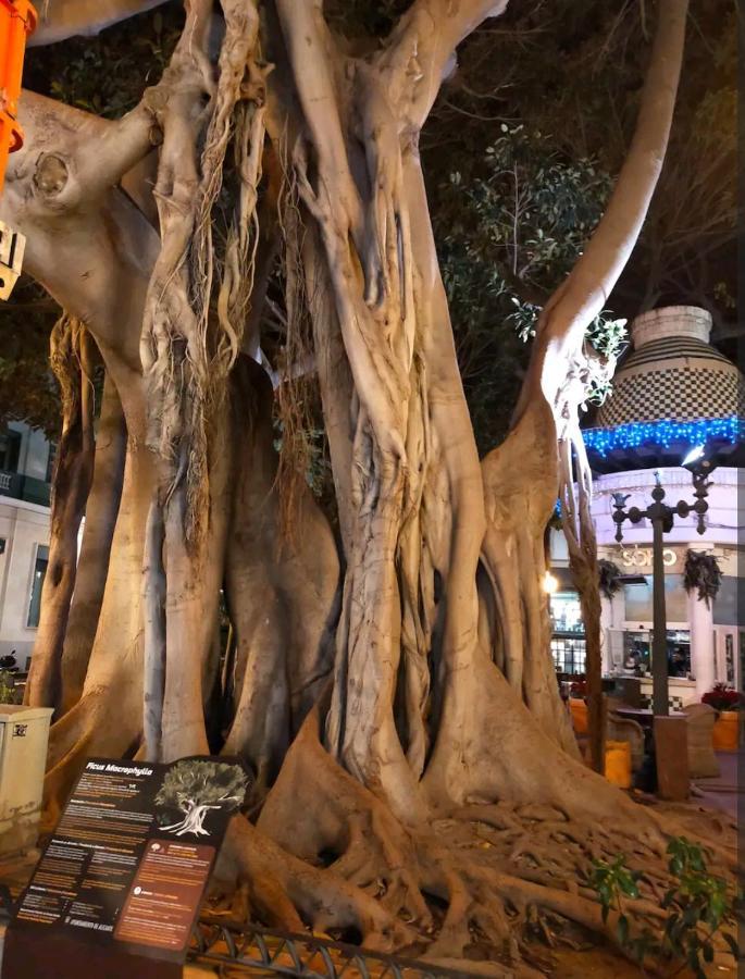 City Center Alicante - Santa Lucia - 2 Dış mekan fotoğraf